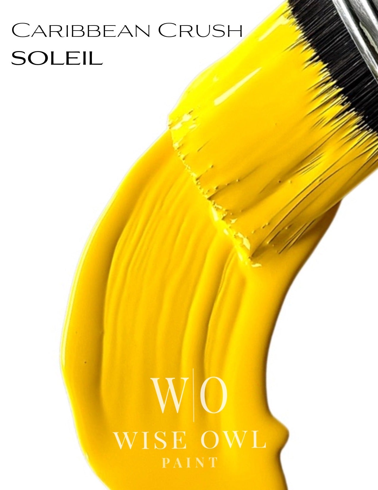 Chalk Synthesis Paint, Gallons