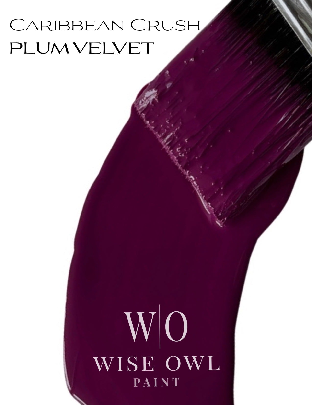 Chalk Synthesis Paint, Gallons